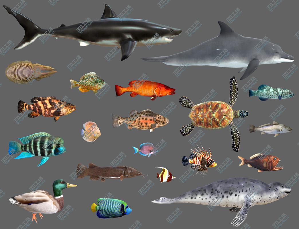 images/goods_img/2021040235/3D Low poly Fish Collection Animated - Game Ready Pack 2/1.jpg